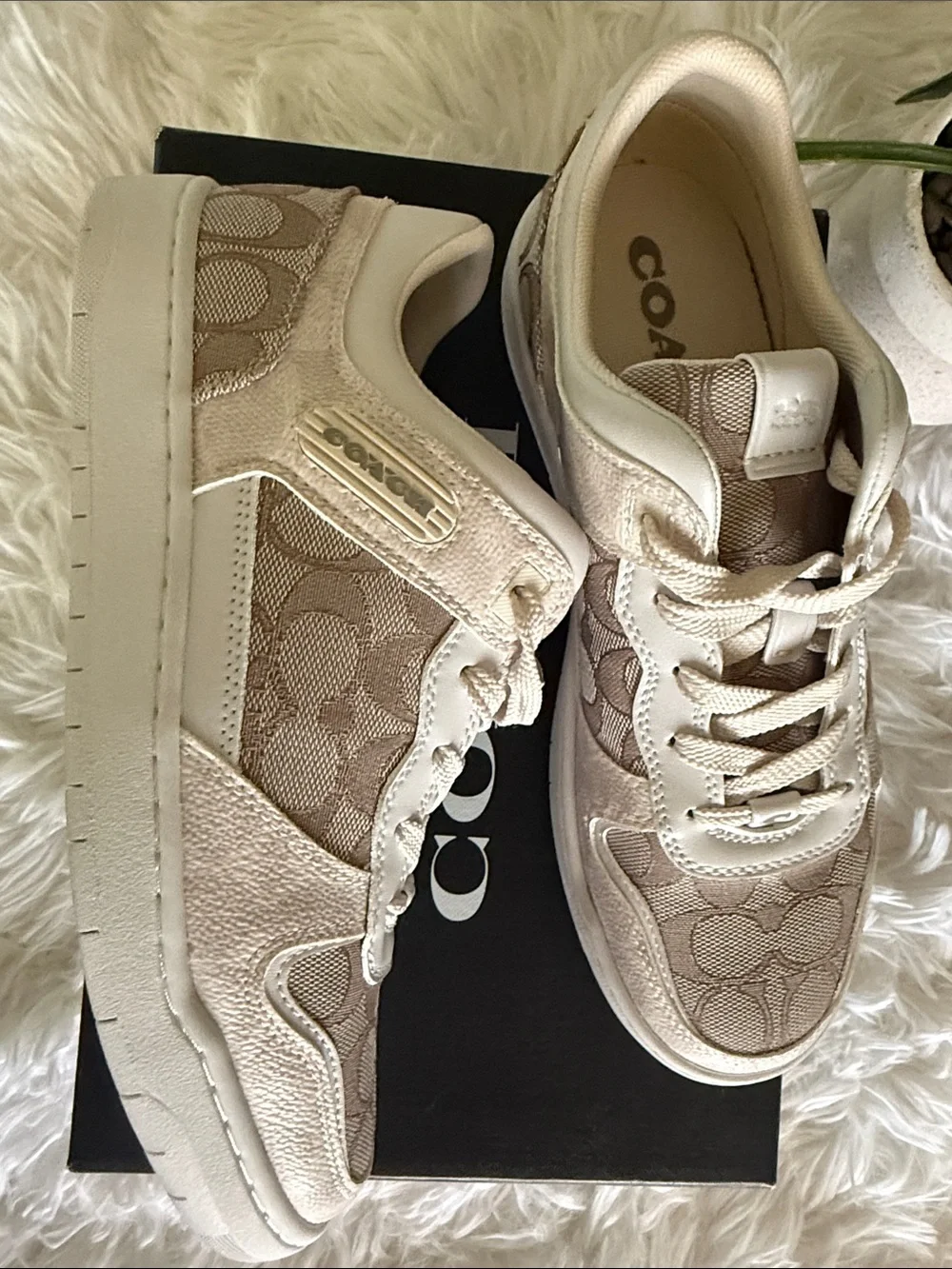 Coach Kids Logo-Print Sneakers in Beige and Cream